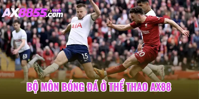 Bộ môn bóng đá ở thể thao AX88