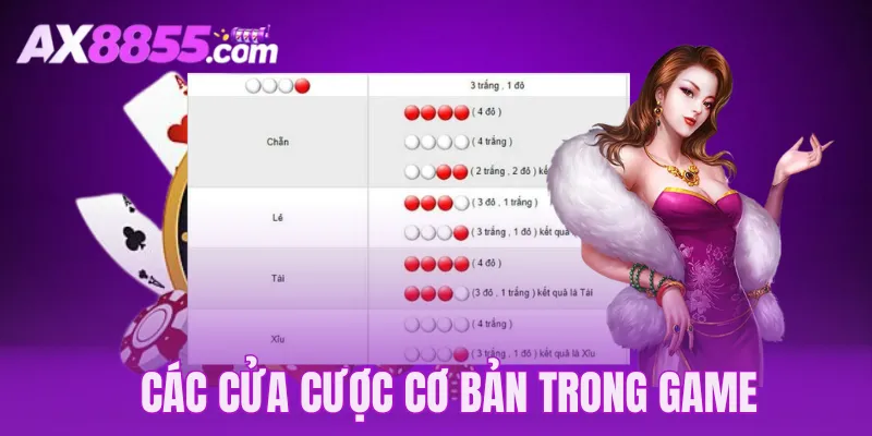 Cửa cược tỷ lệ ăn cao trong Xóc đĩa online 