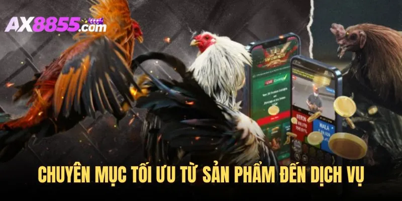 Ưu điểm của sảnh đá gà