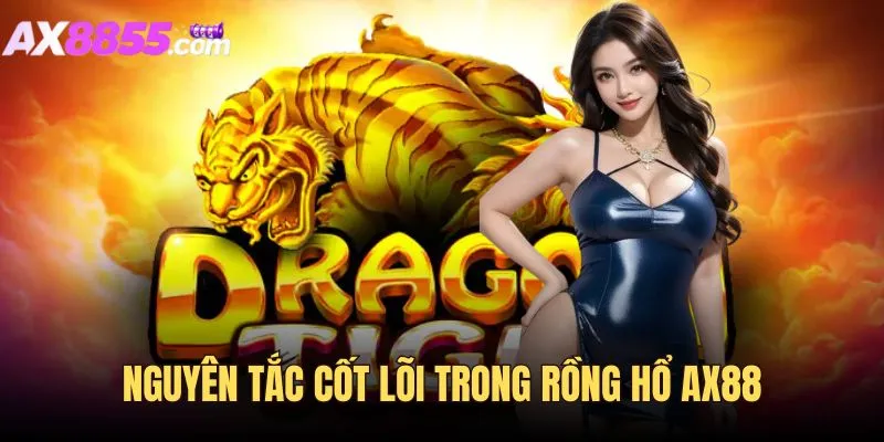 Các nguyên tắc của trò chơi Dragon Tiger